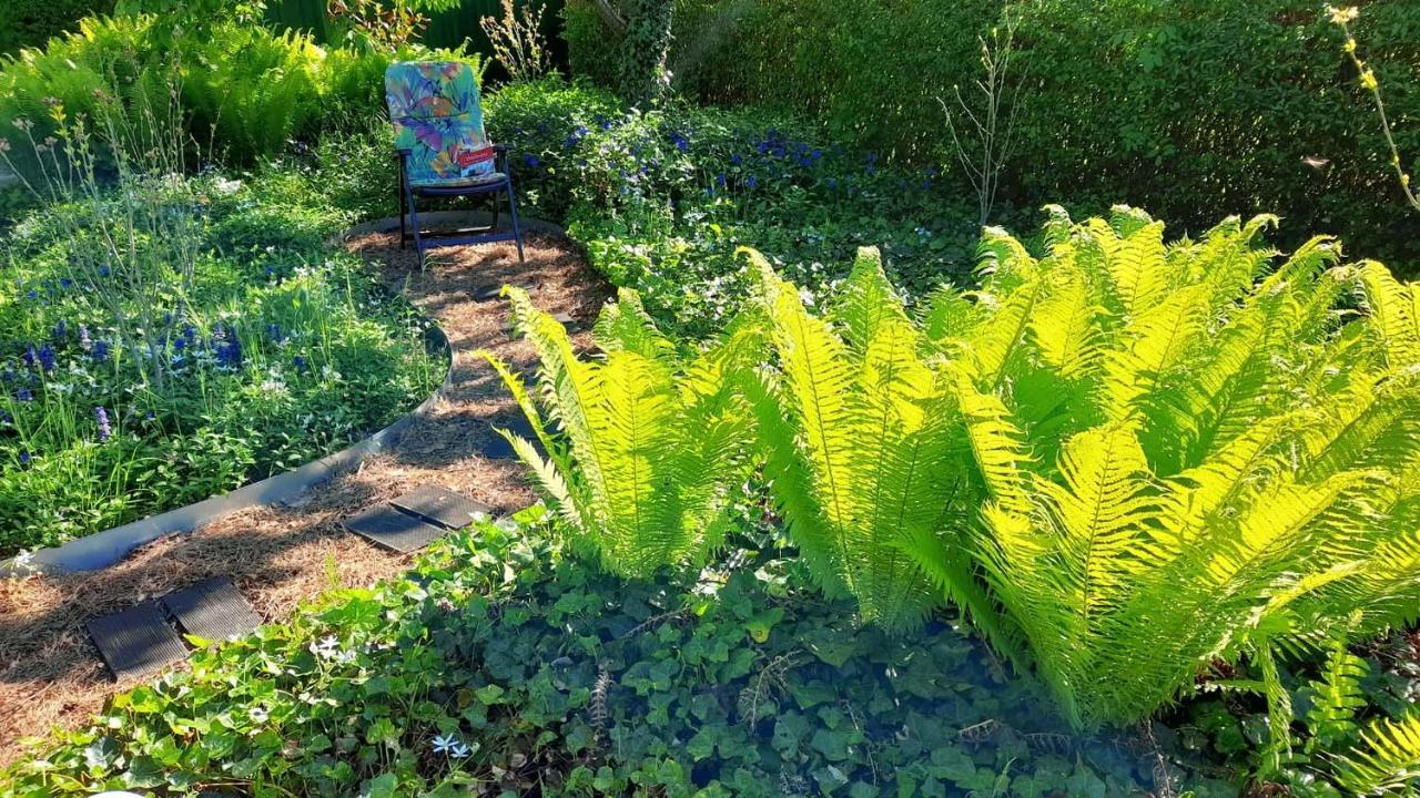 Mitten Im Seenland Und Spreewaldnah, Schoener Garten Storkow  Exterior photo