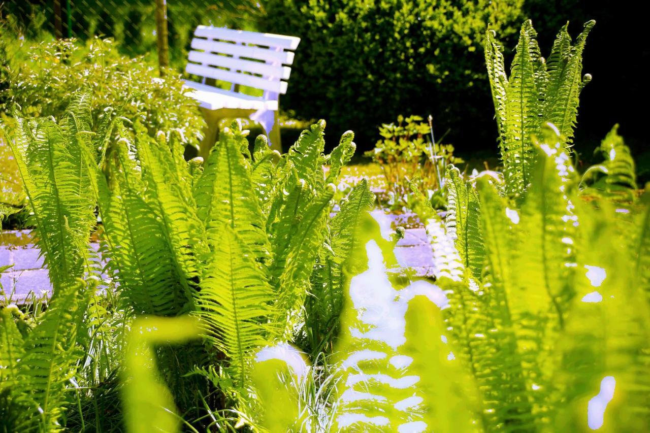 Mitten Im Seenland Und Spreewaldnah, Schoener Garten Storkow  Exterior photo