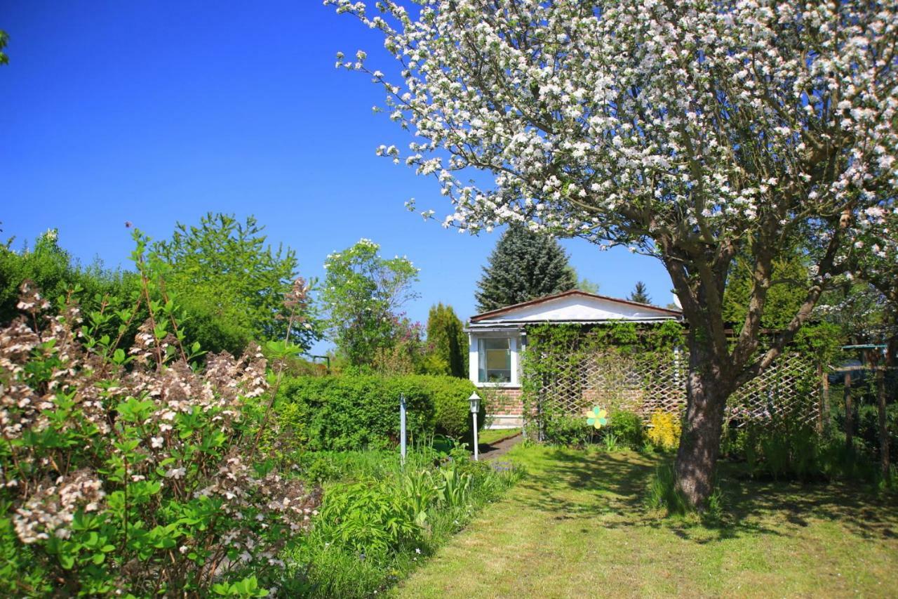 Mitten Im Seenland Und Spreewaldnah, Schoener Garten Storkow  Exterior photo